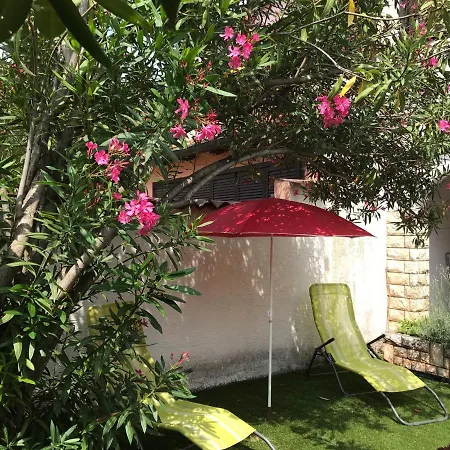 Summer House Oleander *